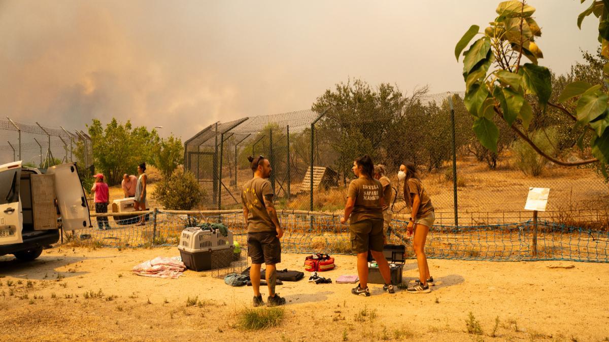 Equipo de Safari Madrid durante el rescate de animales del centro de fauna Kuna Ibérica, amenazado por el avance del incendio.
