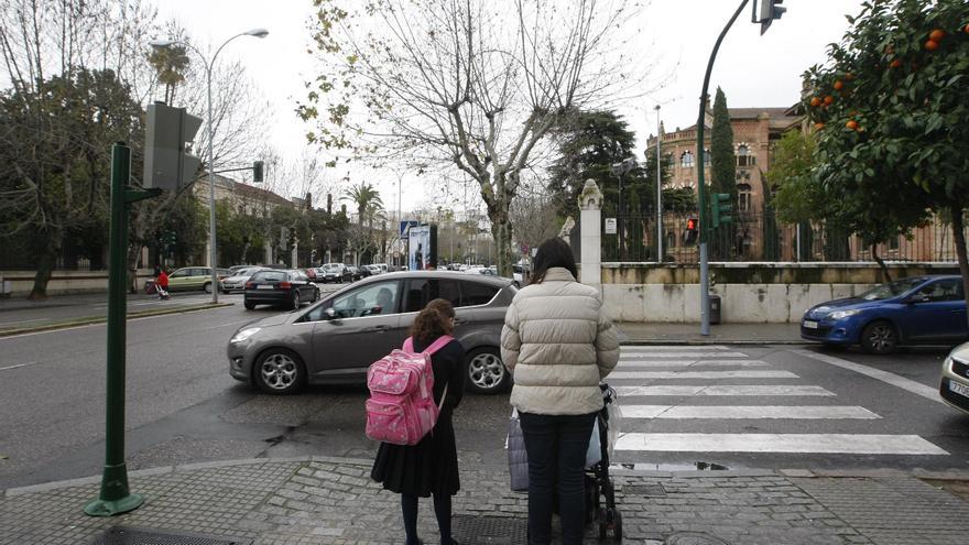 Una avenida poco adaptada y con problemas