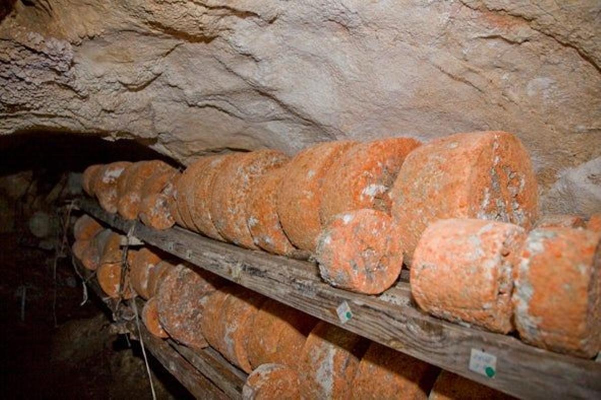 Cueva quesos