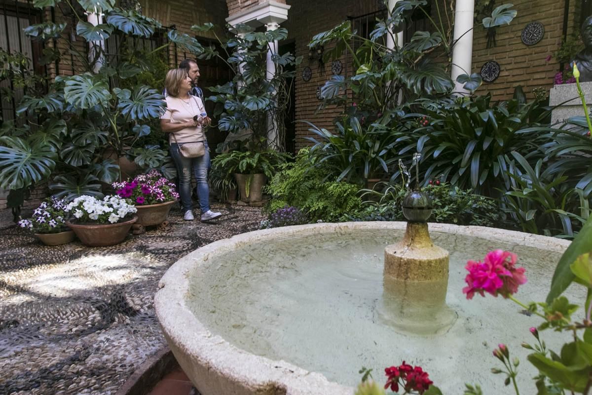 Fotogalería / Descubriendo los patios de la ruta Santiago-San Pedro