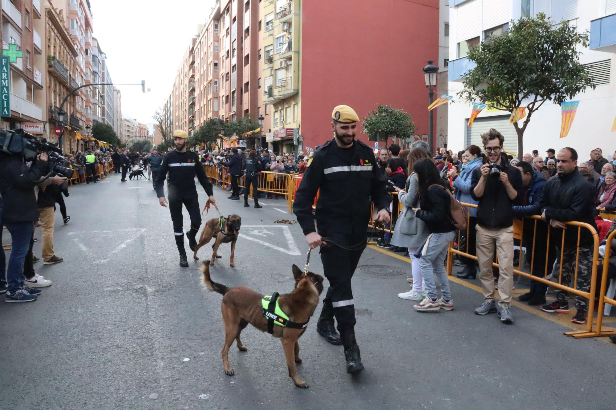 Perros policía y animales de granja completan el desfile de Sant Antoni en València