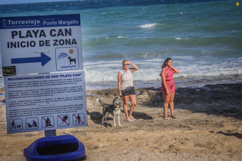 Docenas de usuarios de las playas acompañados de sus perros acudieron a Punta Margallo a pedir respeto y civismo en estos tramos litorales tras los "actos de sabotaje" de las señalizaciones