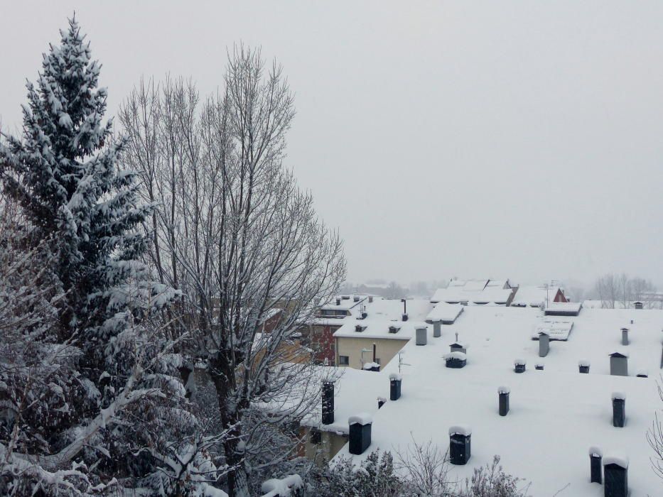 Neu a la Cerdanya i el Ripollès