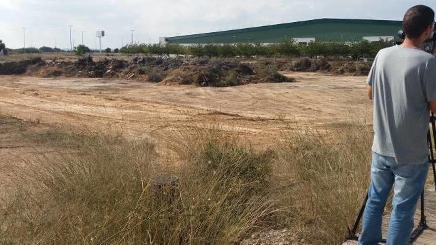 Terrenos en el polígono industrial de Dolores, donde se instalará una planta de transferencia de basuras en unos meses.