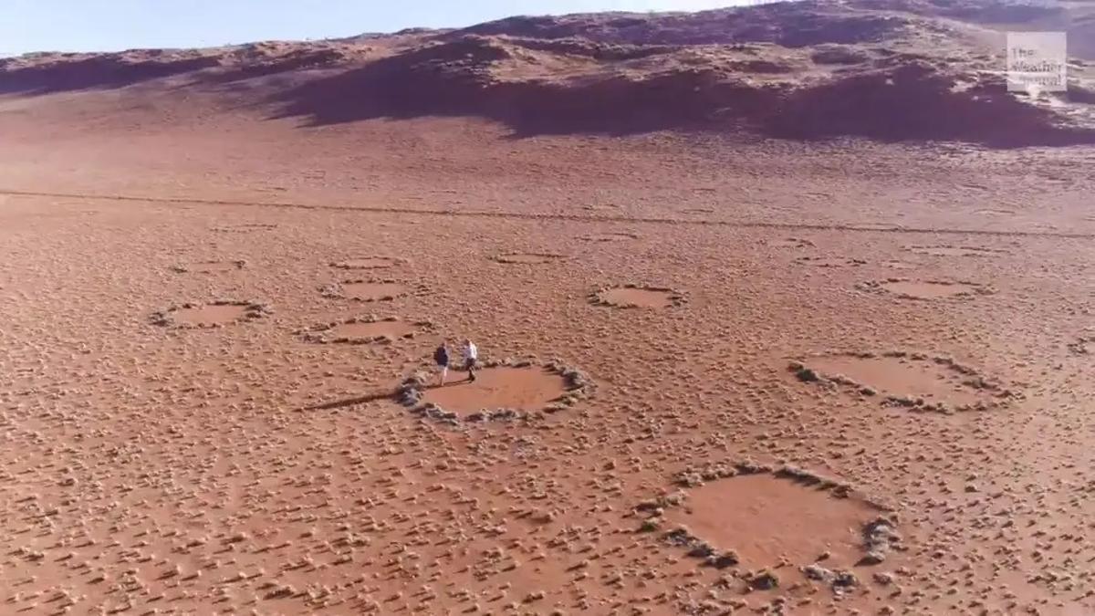 Aspecto de los misteriosos círculos de hadas.