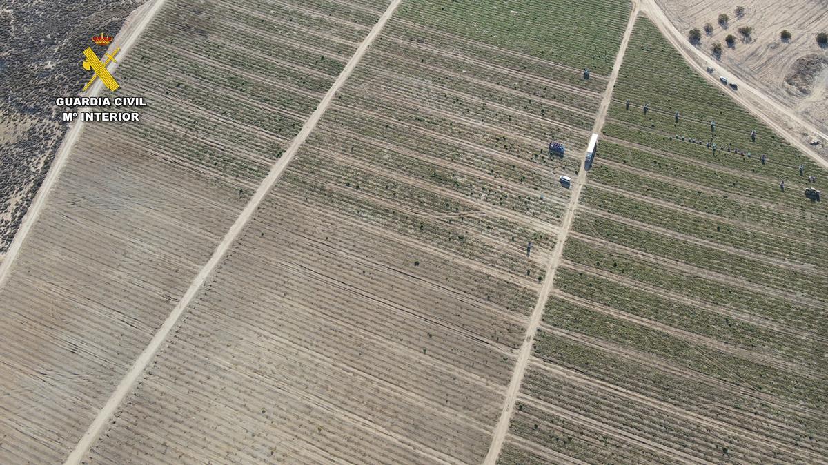 Una de las fincas en las que se centró la investigación de la Guardia Civil.