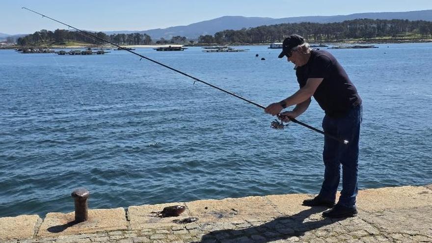 La sepia y el choco, nueva oferta culinaria de O Grove