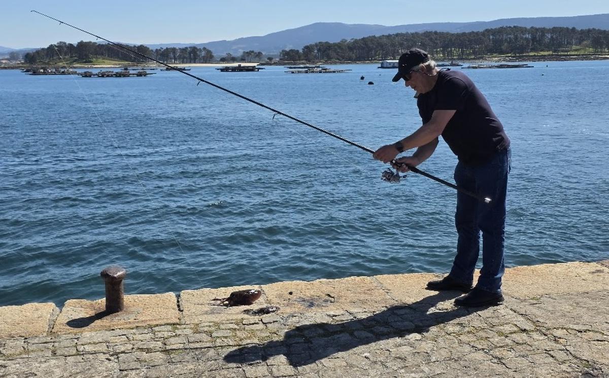 Un grovense con dos chocos recién pescados, en el muelle de O Corgo.