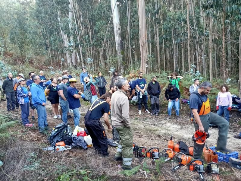 Una reunión, con las motosierras, antes de empezar el trabajo.   | C.M. MEIRA