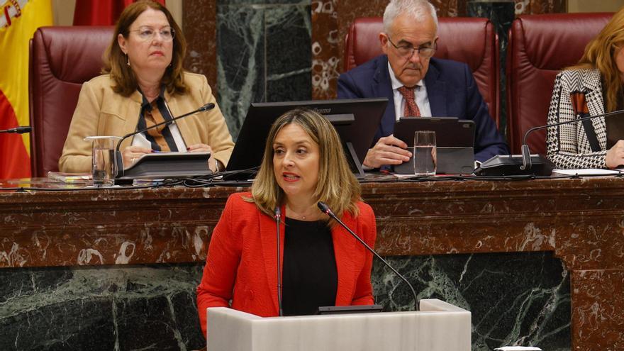 Las embarazadas serán &quot;colectivo de especial consideración&quot; en la futura Ley de Familias