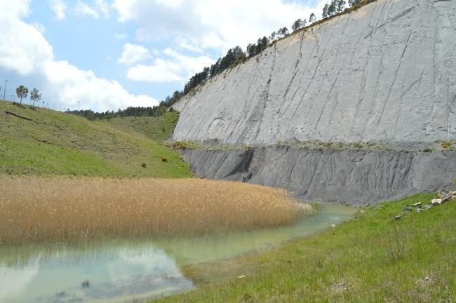 Una esllevissada destrossa les petjades de Fumanya