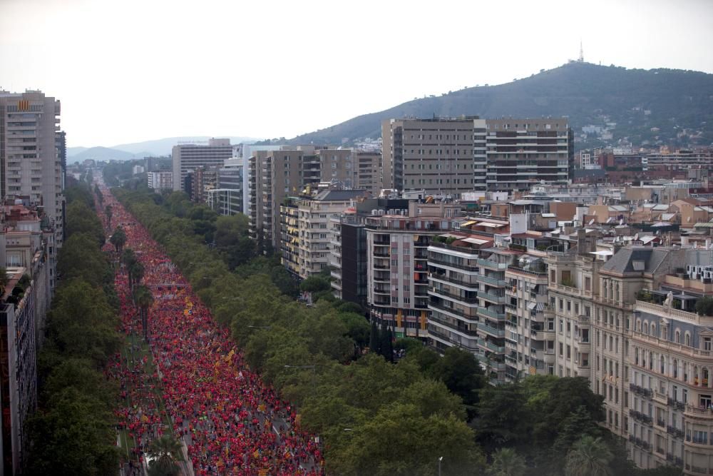 Diada 2018: Totes les imatges de la manifestació