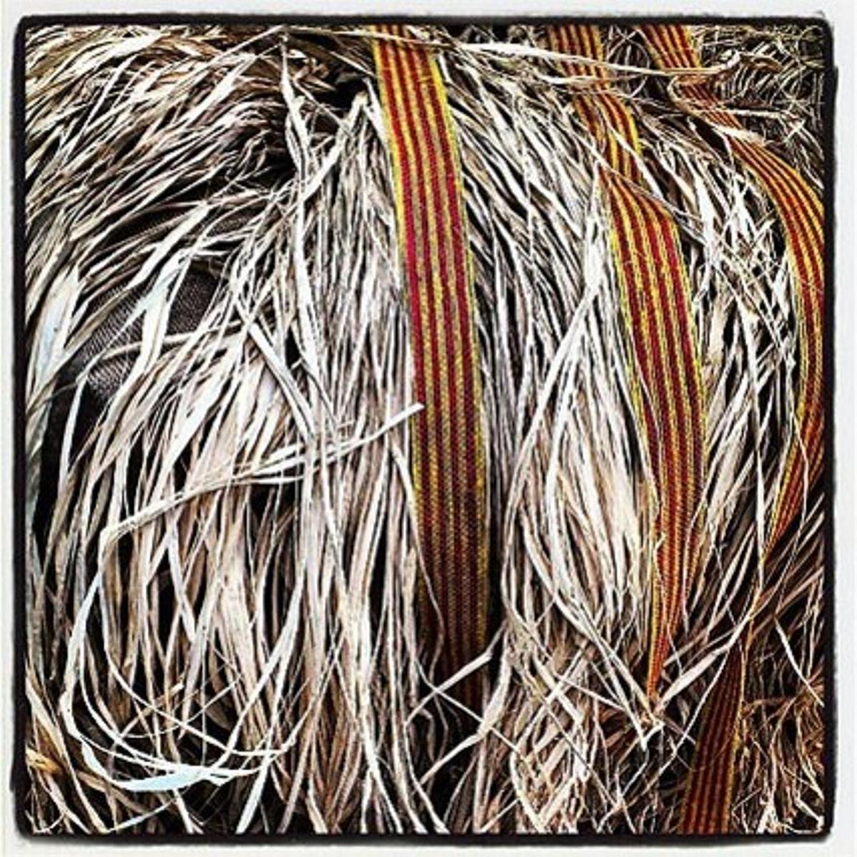 La foto que ha resultat guanyadora del concurs d’imatges Instagram d’aquest Sant Jordi 2012.