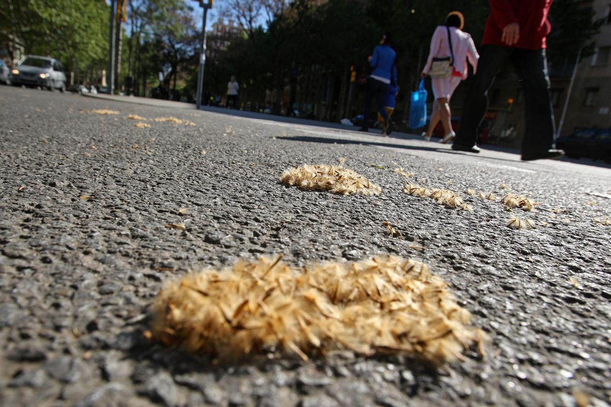 Растут аллергии: как чистота и воздух влияют на здоровье детей