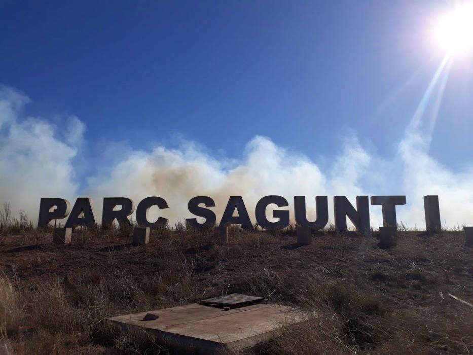 Incendio forestal en el Marjal dels Moros en Sagunt