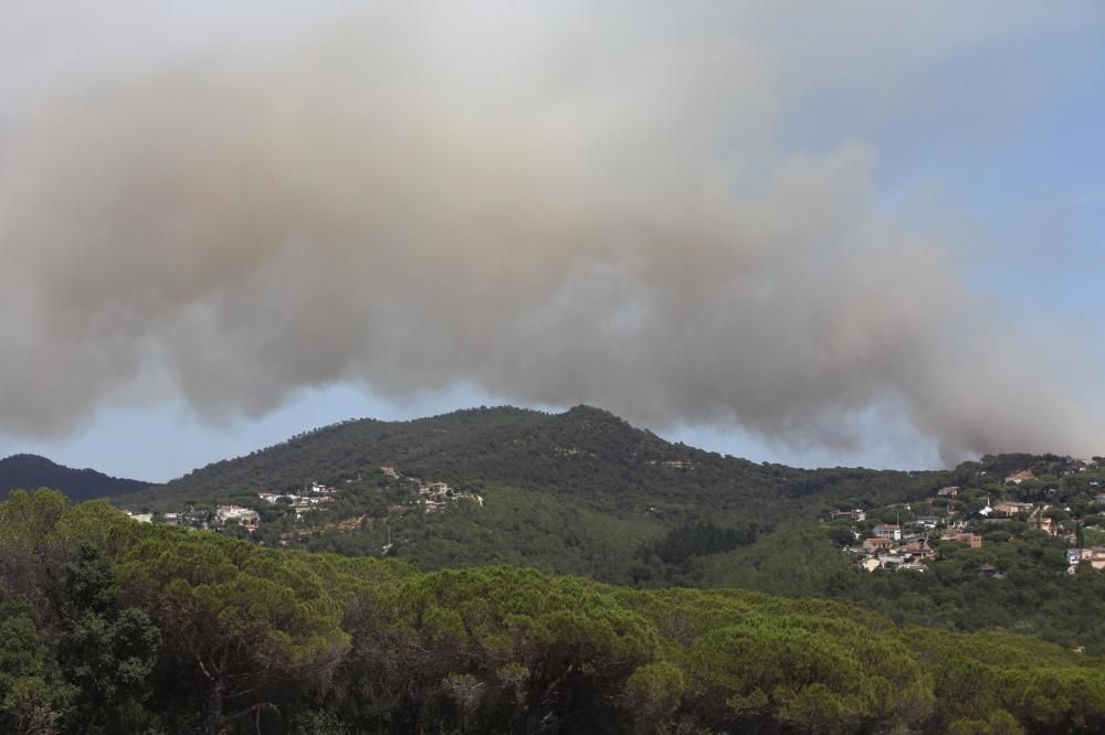 Incendi forestal a Blanes