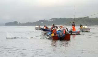 45 toneladas de bivalvos en diez semanas: el libre marisqueo sigue en el pozo