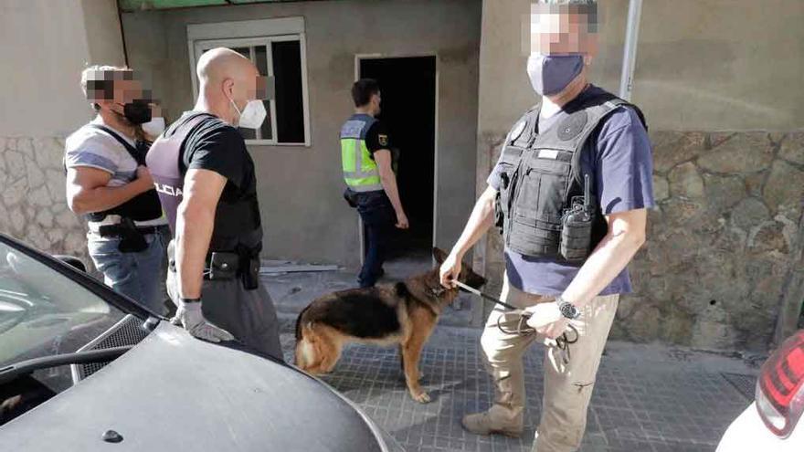 Gran operación policial contra el tráfico de drogas en Palma