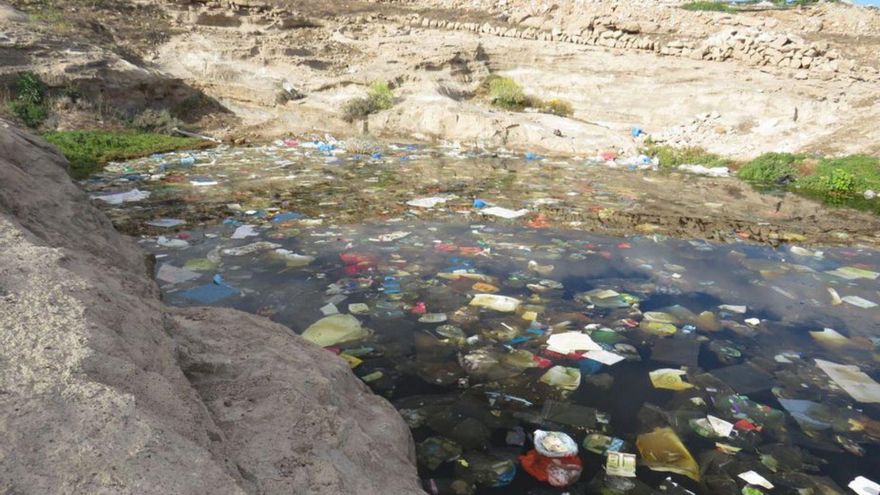 Migratory birds, affected by the plastics that flood a pond from the landfill