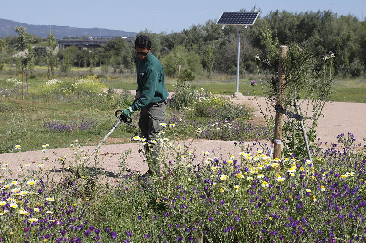 El Parque de Levante de Córdoba avanza en su finalización