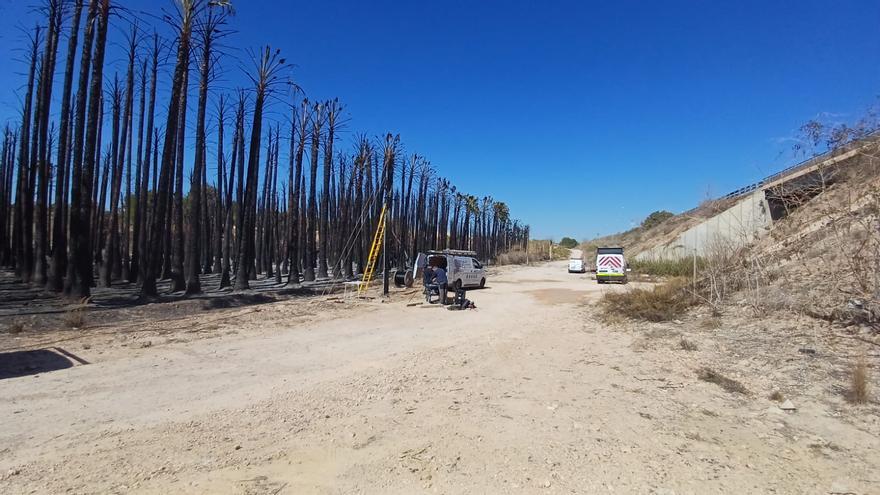 Un incendio arrasa más de 350 palmeras de un vivero en el acceso sur a Torrevieja