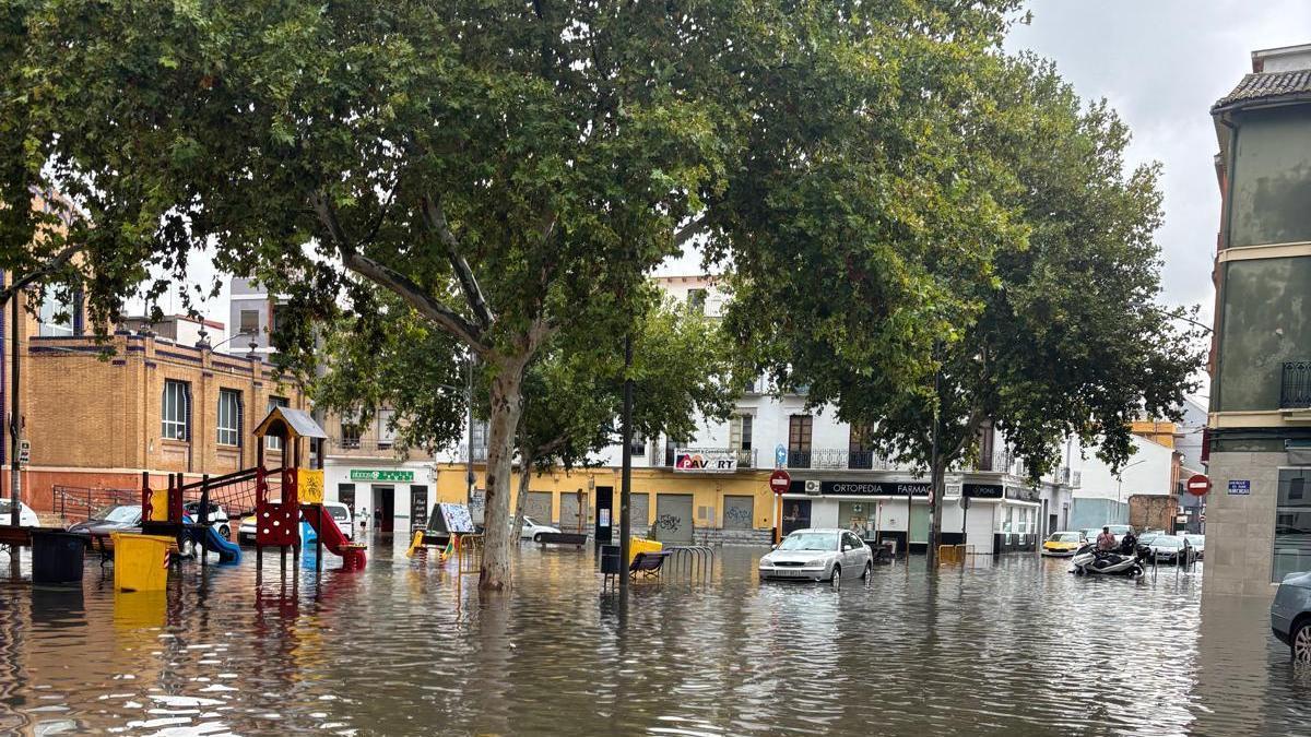Las lluvias del pasado sábado anegaron el municipio de Carcaixent.