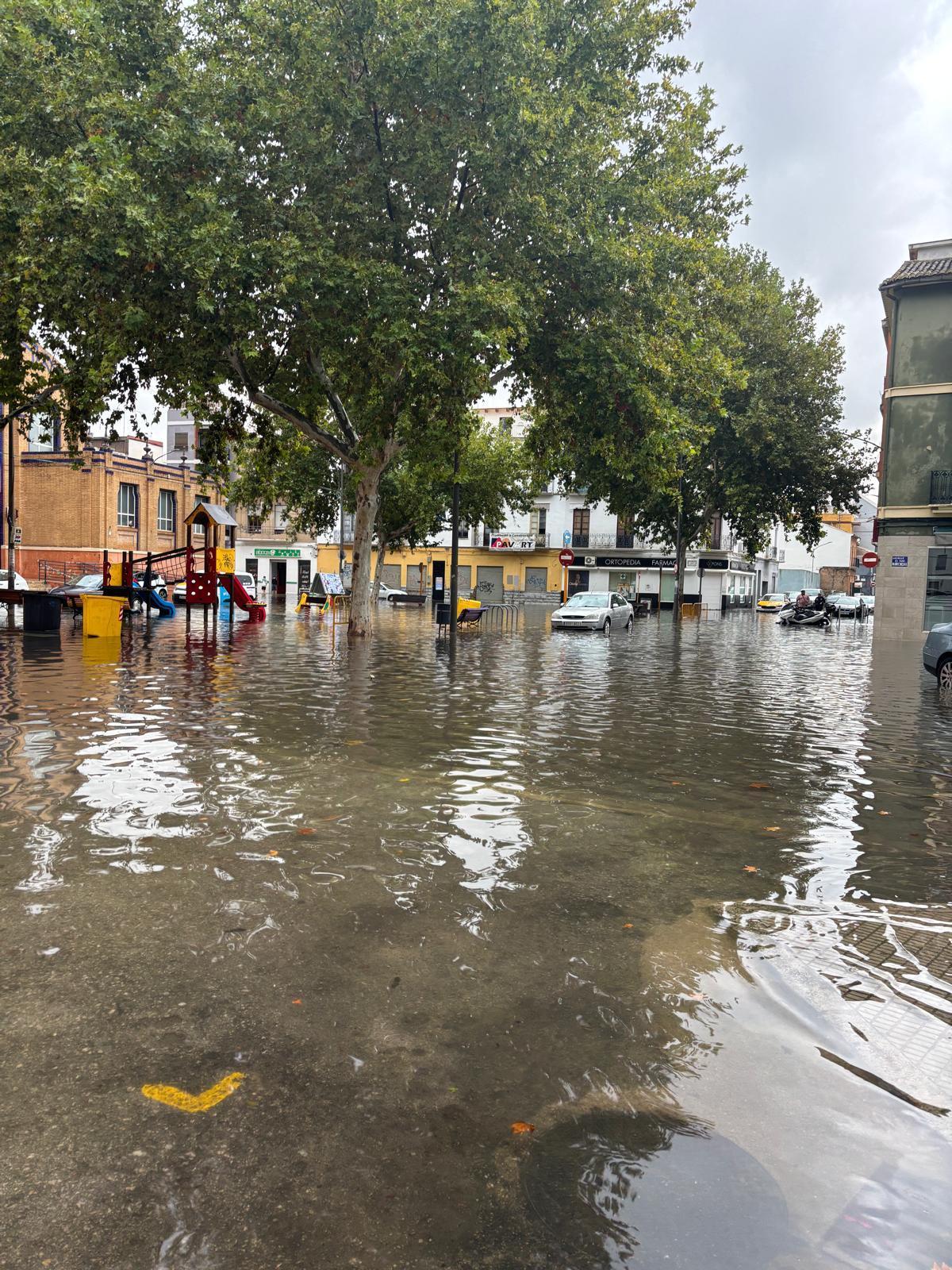 Las lluvias del pasado sábado anegaron el municipio de Carcaixent.