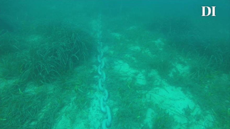 El yate Ulysses fondea encima de posidonia en ses Figueretes