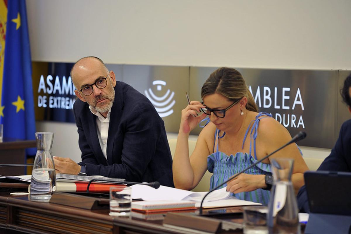 El diputado socialista Manuel Mejías, en la Comisión de Industria, Energía, Ciencia y Territorio de la Asamblea de Extremadura.
