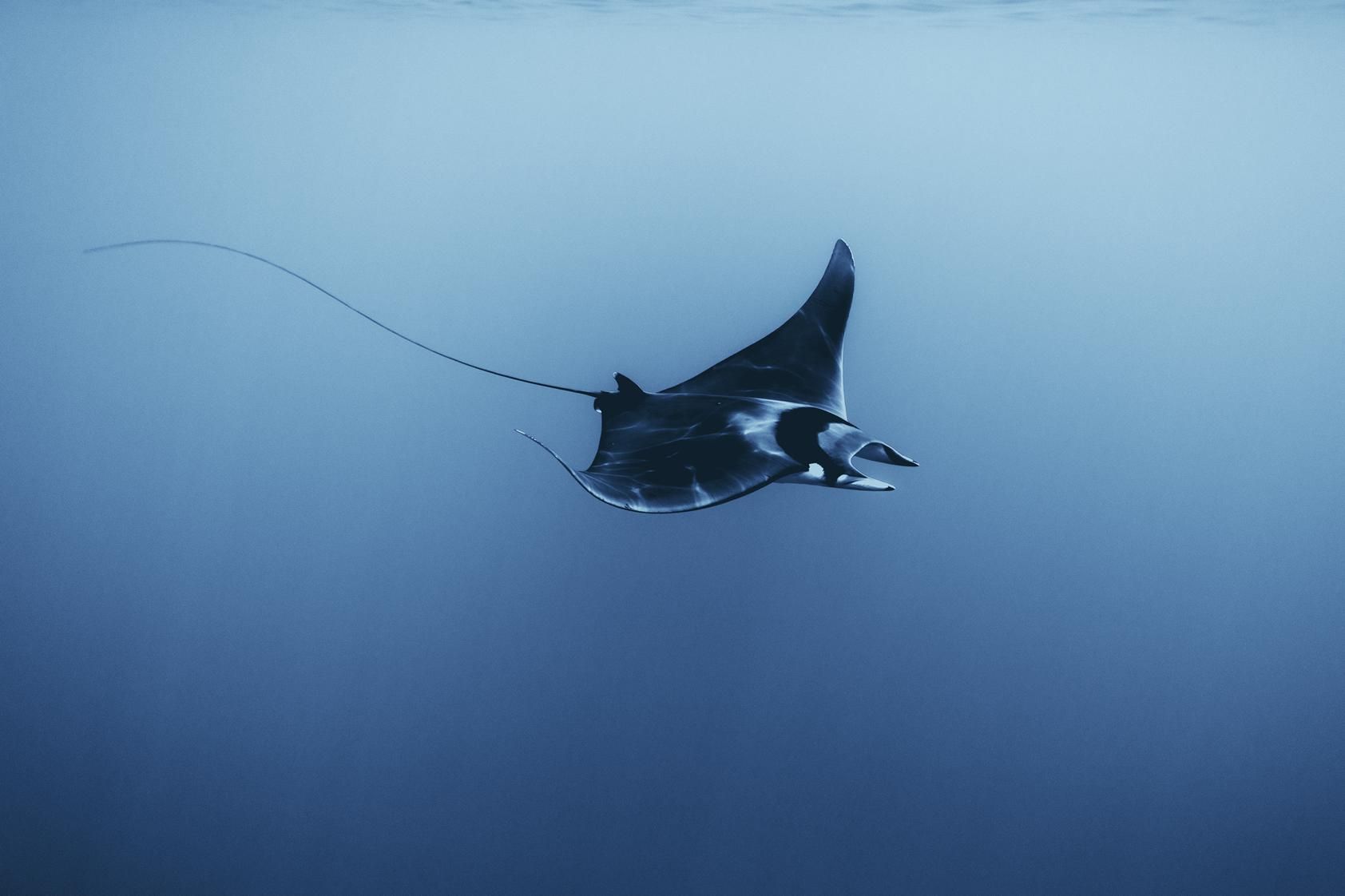 Lyracr0w0 onlyfans leaked Im a slutty, switchy, 19 year