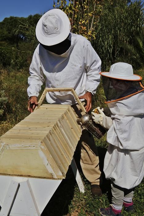 Der Regen im Mai hat den Pflanzen einen zweiten Frühling und den Bienen Pollen sowie Nektar beschert. Der Imker Gori Lladó umsorgt sie und experimentiert mit ökologischen Methoden und neuen Formen für