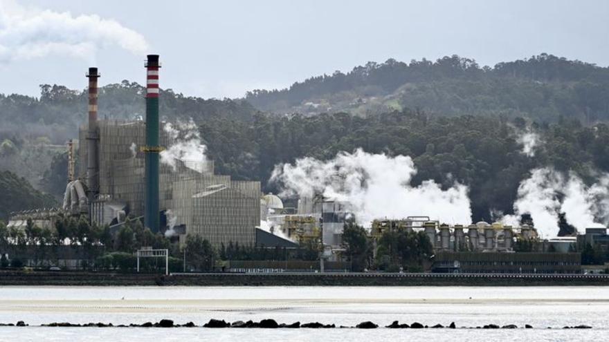 Ence informa de que ha actualizado su Plan de Descarbonización