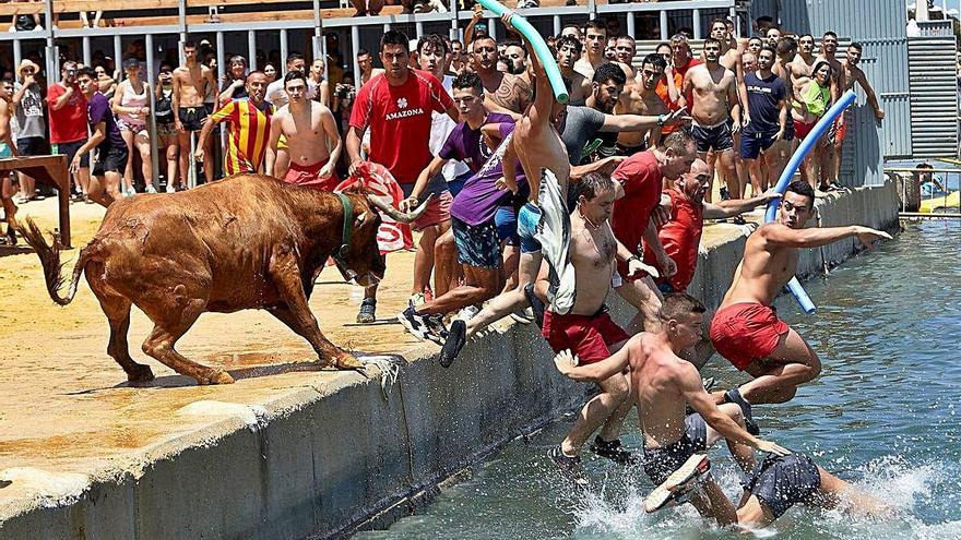 Este año no habrá «Bous a la mar» en Dénia.