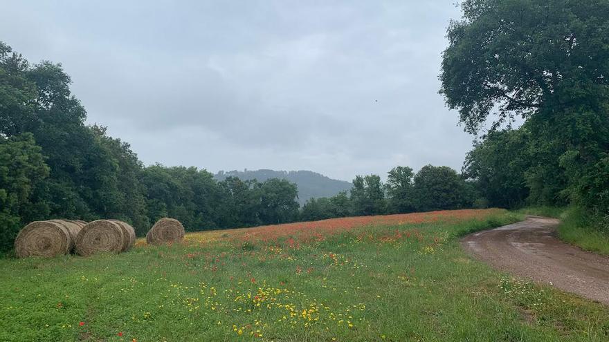 Les propostes de natura per als turistes de cases rurals són nombroses.