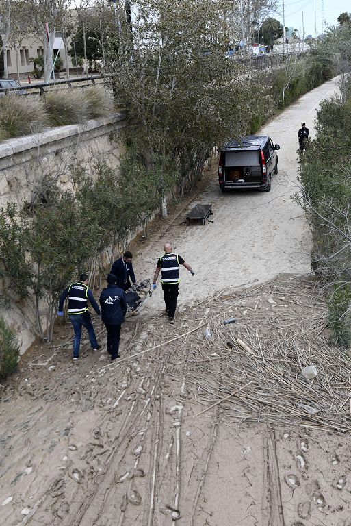 El rescate del cadáver hallado en el río Segura este domingo, en imágenes