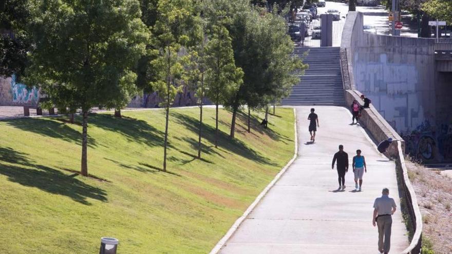 Cort invertirá 60 millones en la mejora de parques y jardines en cuatro años