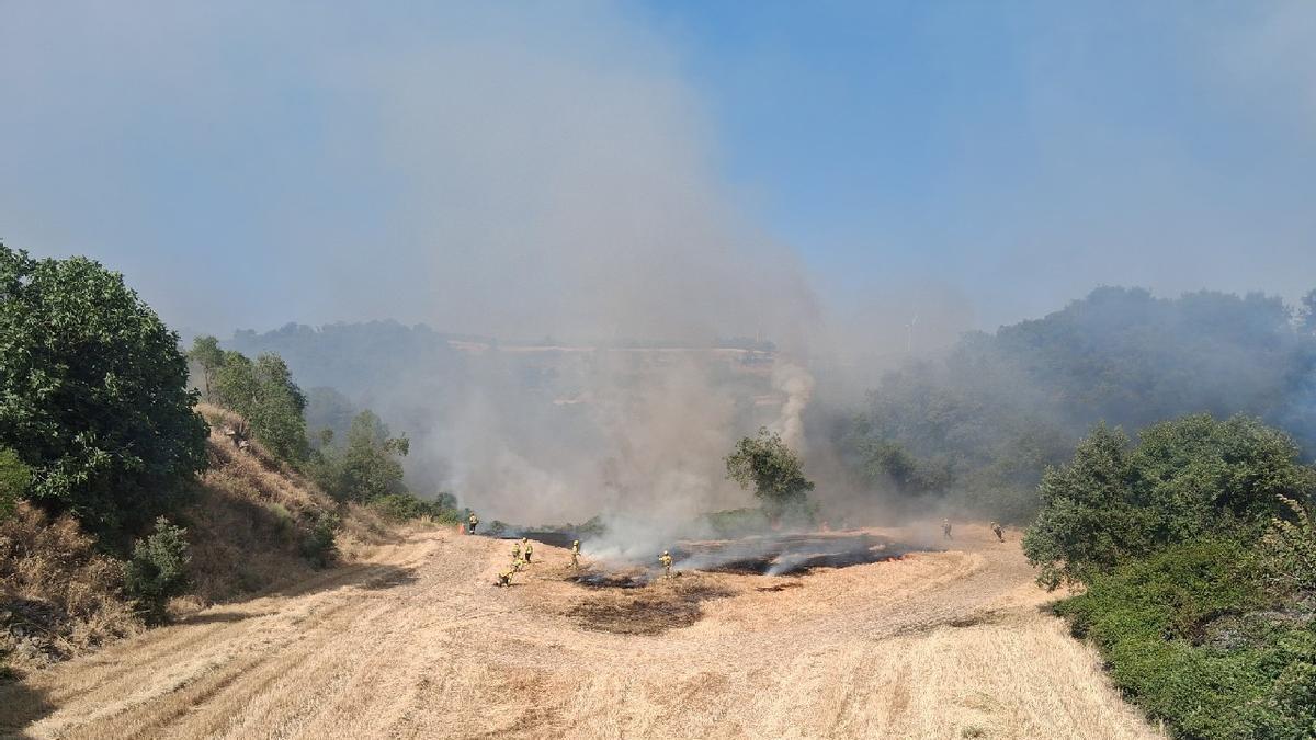 Imatge del foc de Montmaneu