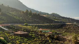 ¿Qué es el terroir del vino?