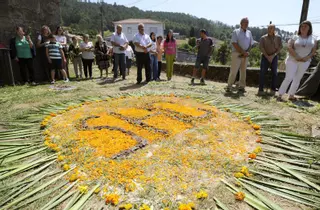 Pétalos a los pies del Divino Salvador