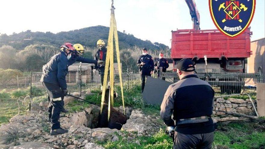 Rettungsaktion auf der Finca: Die Feuerwehr holt den Esel aus dem Brunnen.