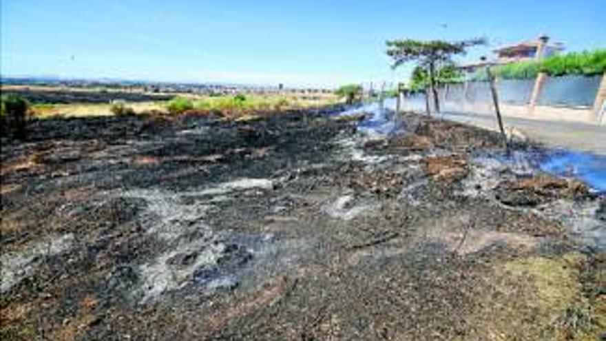 Bomberos evitan que un incendio de pastos llegue a las Vaguadas