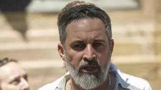 Abascal pide la militarización de la frontera de Ceuta "hasta que sea necesario"
