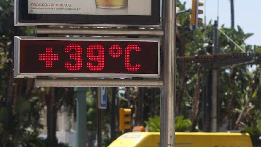 Hoy se esper mucho calor por la entrada del terral.