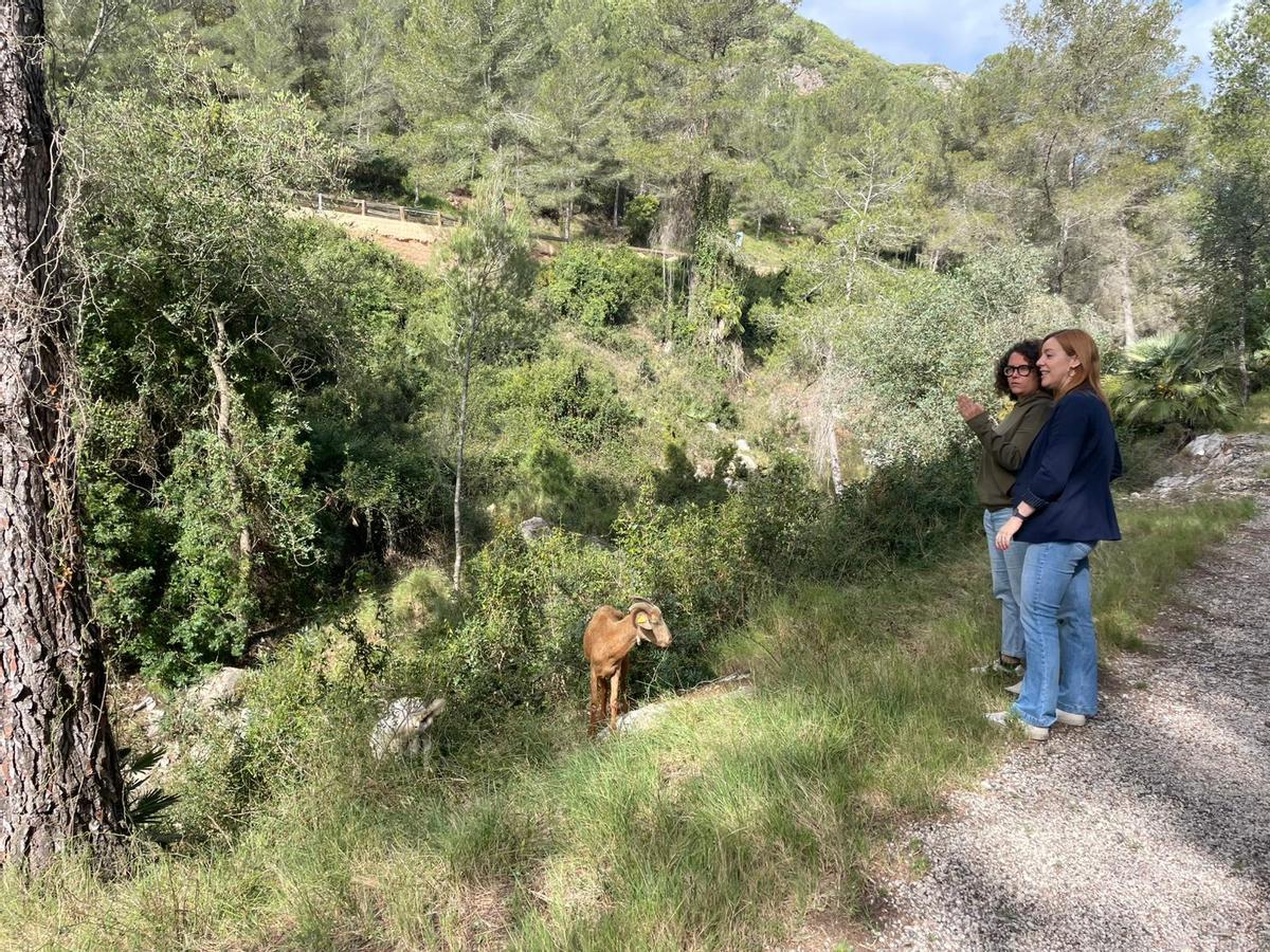 Visita al proyecto "Ramat de foc".