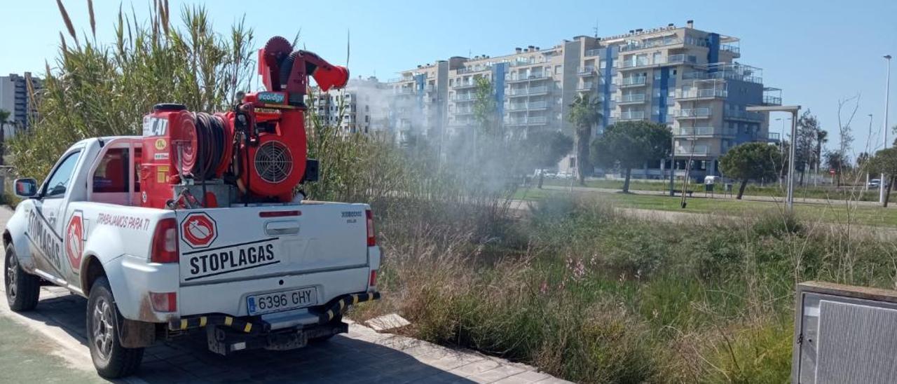 El Ayuntamiento de Moncofa ha intensificado los tratamientos terrestres en todo el término municipal para aplacar la plaga de mosquitos existente.