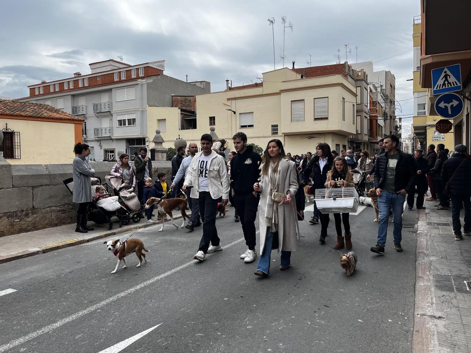 Imágenes del popular pasacalle de Sant Antoni de Nules