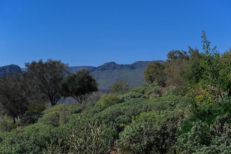 Tiempo en Gran Canaria (27/01/2021)