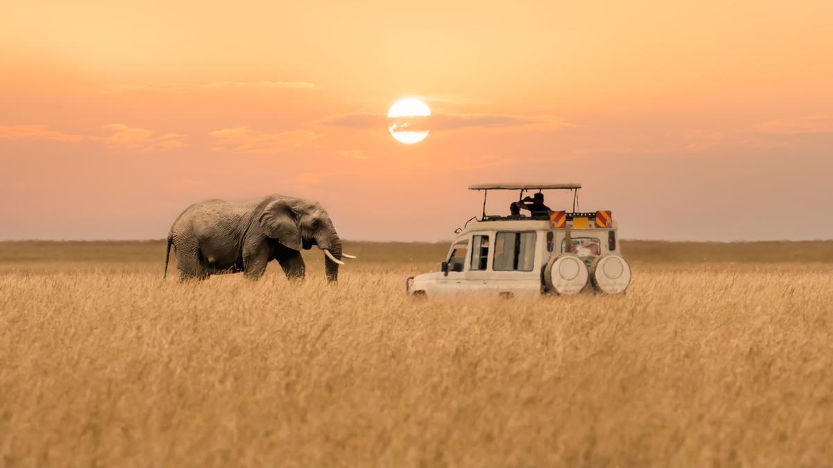 Masai Mara anuncia todo la esencia de África