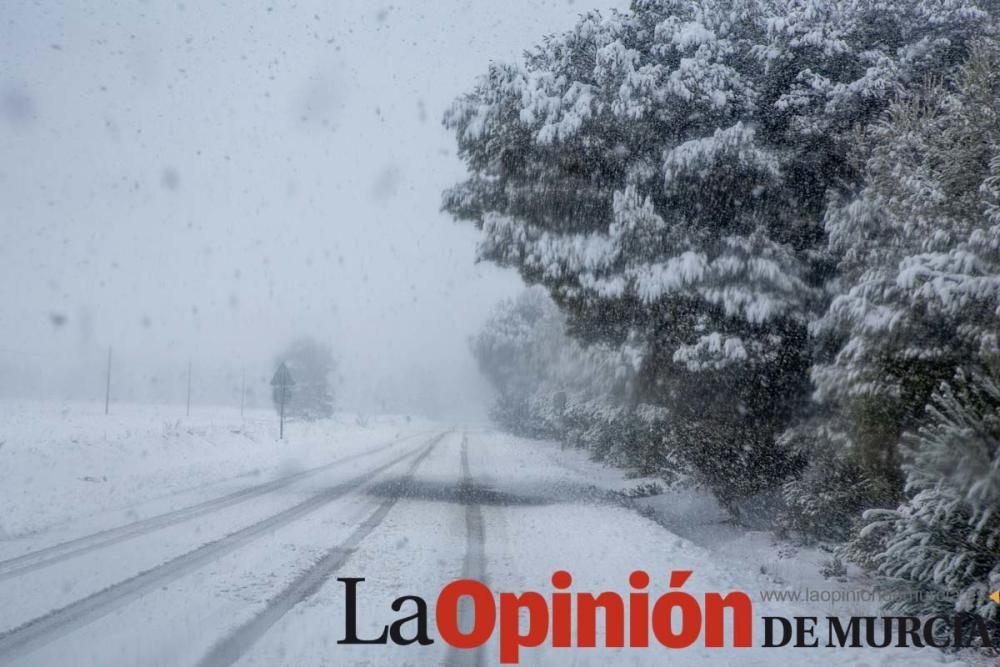 La nieve cubre de blanco el Campo de San Juan