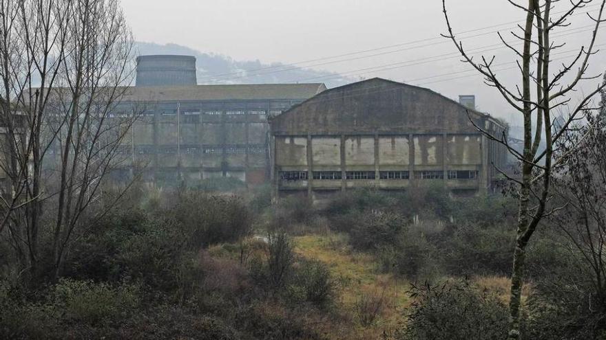 Una parte de los terrenos y las edificaciones de Nitrastur, en Langreo.